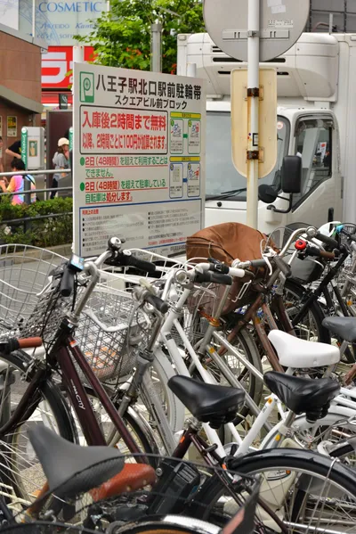 DSC_4023 (Large).JPG